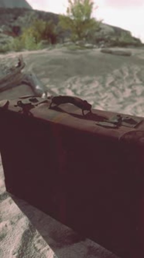 A Piece of Luggage Sitting on Top of a Sandy Beach
