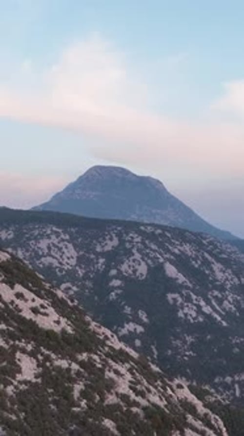Vertikales Video, Filmmusik Luftaufnahme von Green Paradise, Aufnahmen von mystischen Walddrohnen