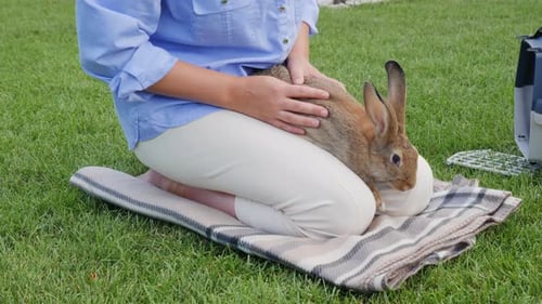 A Woman Sits on the Green Grass in Her Backyard Holding Her Rabbit on Her Lap and Gently Petting It