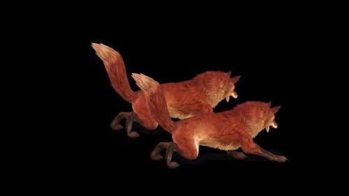 Animated Foxes Howling, Running, and Standing Loop