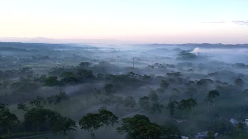 Sunrise Wonosobo