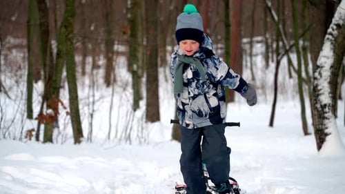 A joyful boy drags a sled up a hill to have fun sliding down
