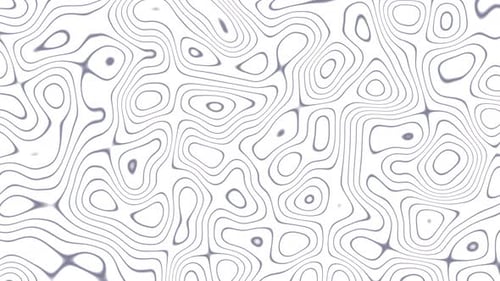 Abstract Organic Topographic Contour Lines Loop Background