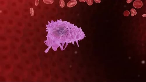 Detailed medical illustration showing bacteria