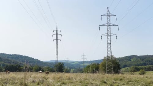Power Lines Run Through a Rural Area on a Sunny Day