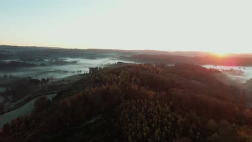 Sunny sky above a German forest