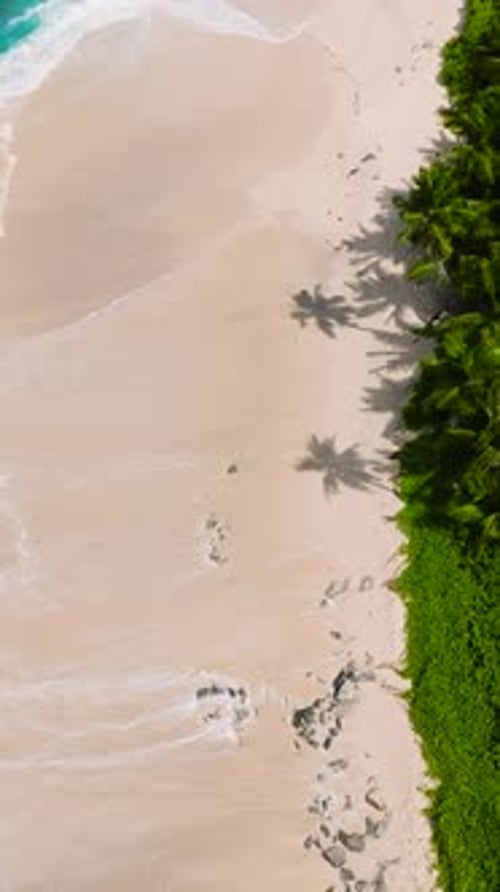 Turquoise Ocean Waves and Tropical Shoreline Seychelles Mahe