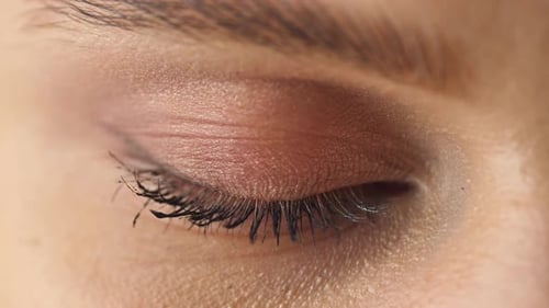 Eye Opening and Looking Around, Macro Shot