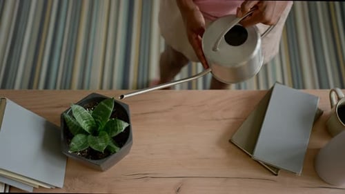 Top View of Young Black Woman with Watering Can Caring for Potted Plant