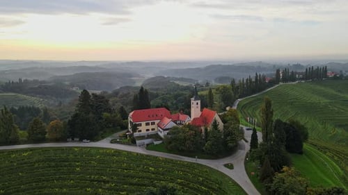 Aerial View of Vineyards and Church at Sunrise