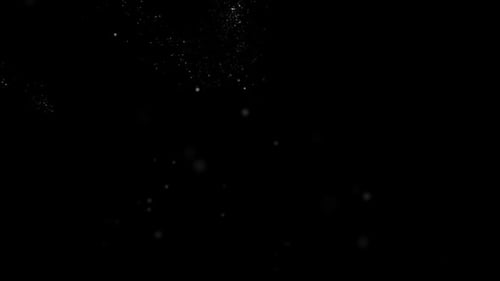 Dynamic Dust Particles