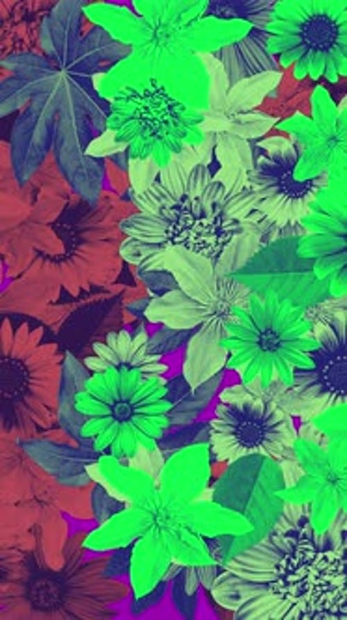 Blumen-Collage-Hintergrund 02