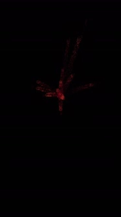 Aerial Sparks Explosion (29)