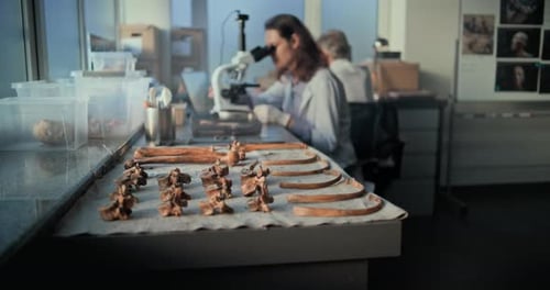 Scientists Examining Bones in a Bright Laboratory