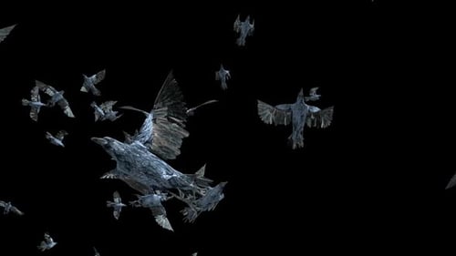 Flying Crows Alpha Channel Overlay Animation