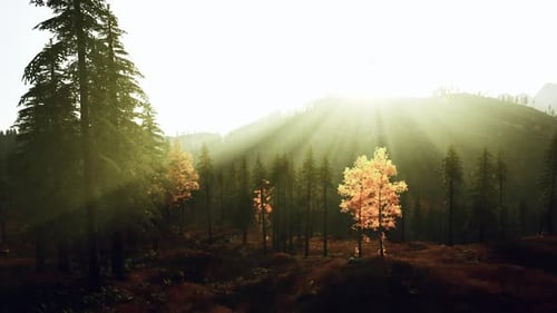 Eliciting Mood and Wonder, parfait pour un film d'aventure ou une promotion de voyages