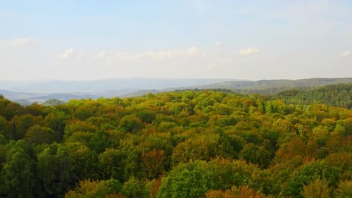 Stunning Aerial Flight Views of Cinematic Colorful Autumn Forest Wildlife Environment Open Nature