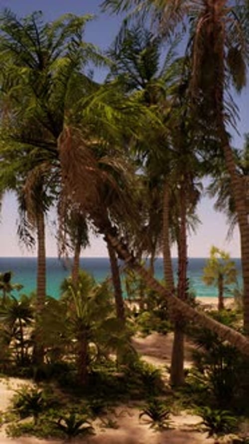 Palm Trees Lining Beach Ocean Horizon