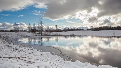 Fairytale winter scene with a lake and a snow pine tree forest in the background