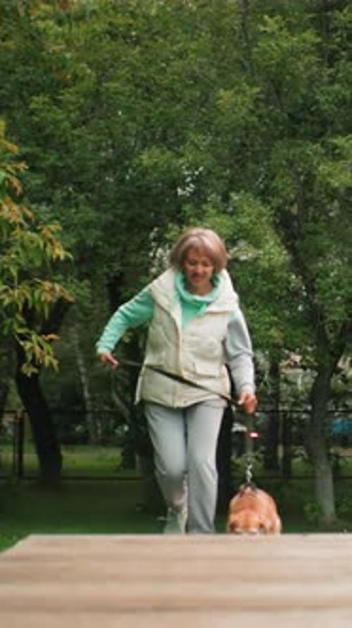 Retired Nurse Helping Elderly Woman Train Beagle Outdoors Gentle Park Scene with Elderly Woman