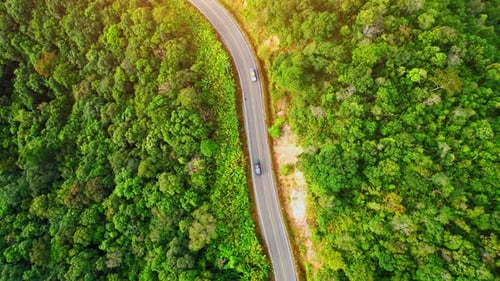 Autos fahren auf kurvenreicher Straße im berggrünen tropischen Regenwald