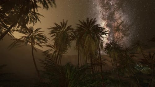 Night Scene with Silhouette Hut and Coconut Tree with Milky Way Galaxy in Sky