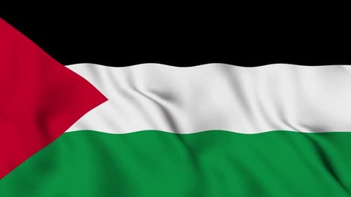 Palestine Flag Waving Seamless Loop
