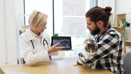 Veterinarian Consulting Client During Pet Examination with Xray Discussion in Clinic