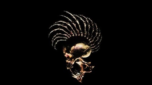 Punk Skull VJ Loop
