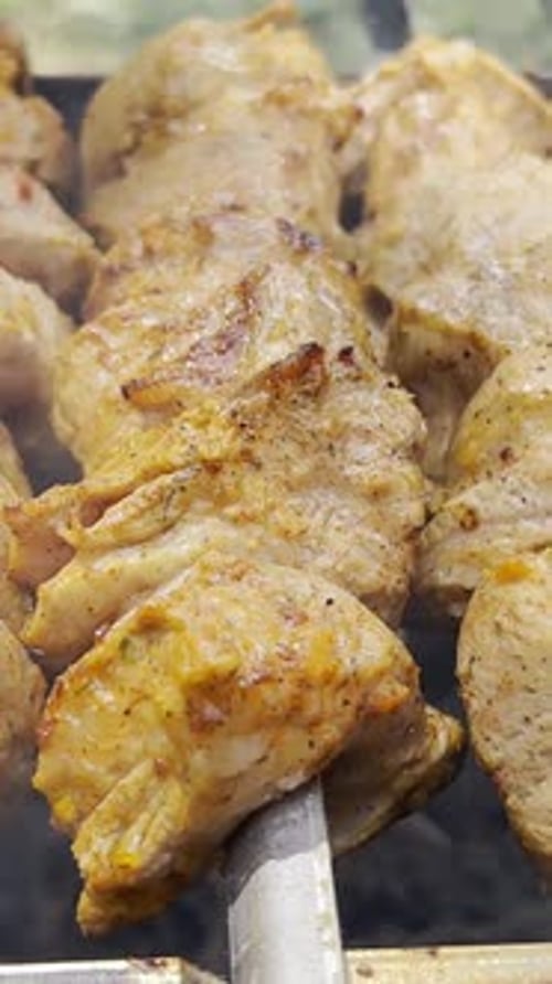 Juicy Meat on Skewer being Grilled