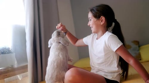 Girl Playing with Fluffy Rabbit at Home