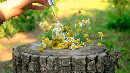 Aroma Oil with Chamomile on a Tree Stump