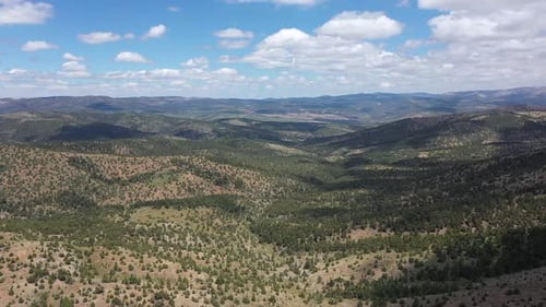 Vue aérienne des arbres et des collines 2