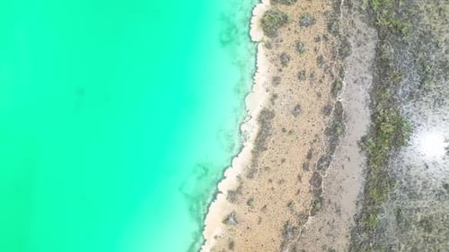Lagoon Of Seven Colors In Bacalar, Quintana Roo, Mexico. Aerial Topdown Shot