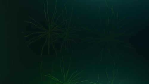 Fluid Abstract Organic Network Background Animation