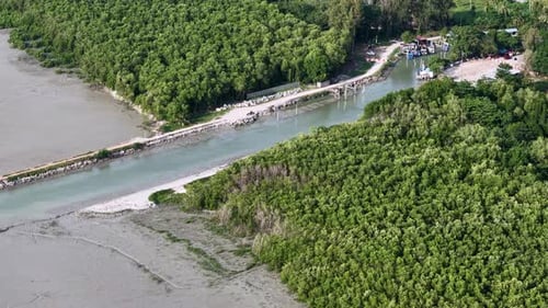 Aerial Mangrove Forest with Tidal Channel and Dock Settlement