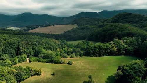 Beautiful landscape aerial view in vast forest with meadows. Summer cloudy woodland aerial reveal sh