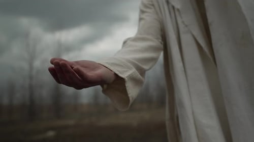 - Jesus Cristo, entregue, estenda, perdoe, perdão, misericórdia, salve, Bíblia, profeta, cristianismo, chris