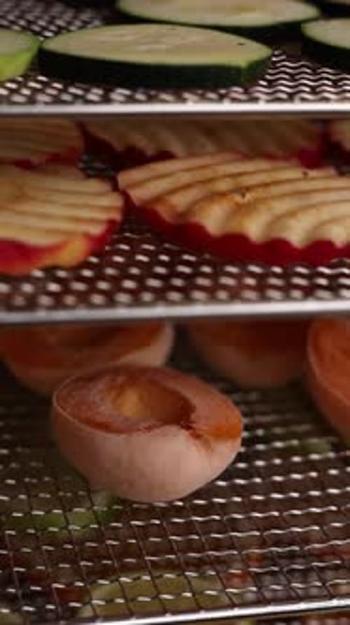 Dehydrated Fruits and Vegetables Inside Dehydrator