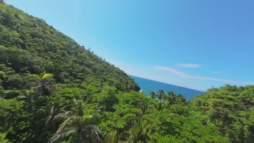 The natural beauty of Playa Onda beach, Samana, Dominican Republic_fpv shot