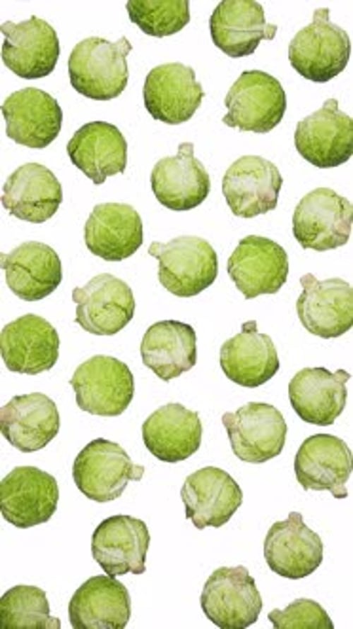 Fresh Green Brussels Sprouts Falling Animated Background