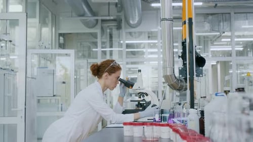 Woman Scientist Examining Sample with Microscope