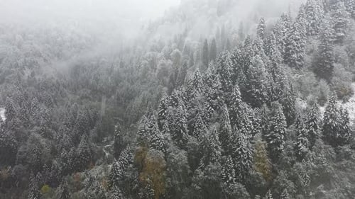 Drohnenflug durch ein verschneites Waldtal