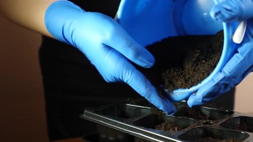 258p. Soil is added to the seedling tray. The concept of gardening and horticulture.