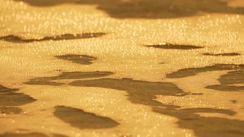 Golden Sunlit Waves Rolling on Sandy Shore