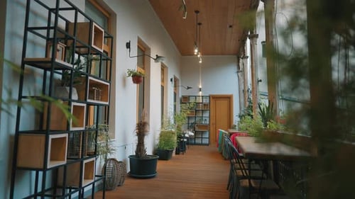 Interior of Building Woods and Greenery Rustic Style Architecture and Design Modern Furniture and