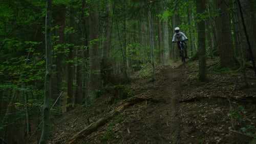 A cyclist kicks up a lot of dust while riding a trail in a forest