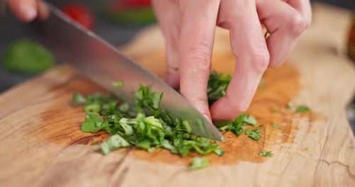 Woman Cutting Green Fresh Basil Herb Leaves on Wooden Cutting Board