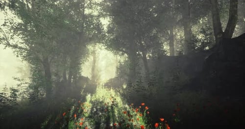 Path Through a Misty Forest with Vibrant Flowers in Early Morning Light
