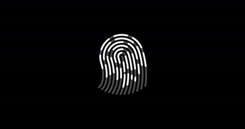 Stylized Finger Print Animated Icon Fingerprint Lock Secure Concept Motion Design Security Logo Icon